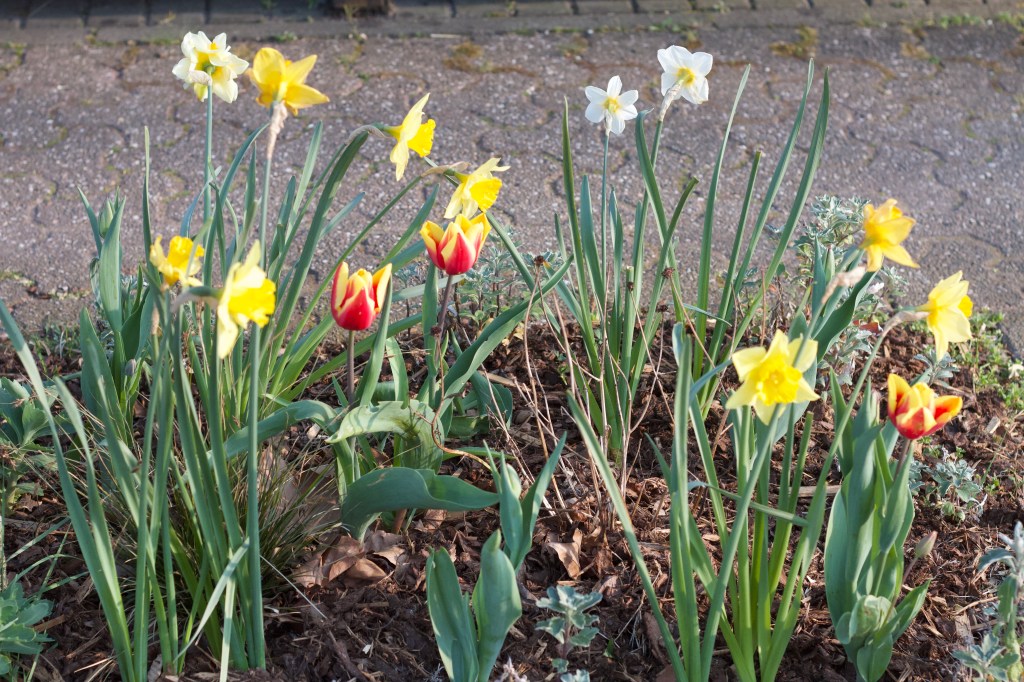 Unser Garten im April&nbsp;2020