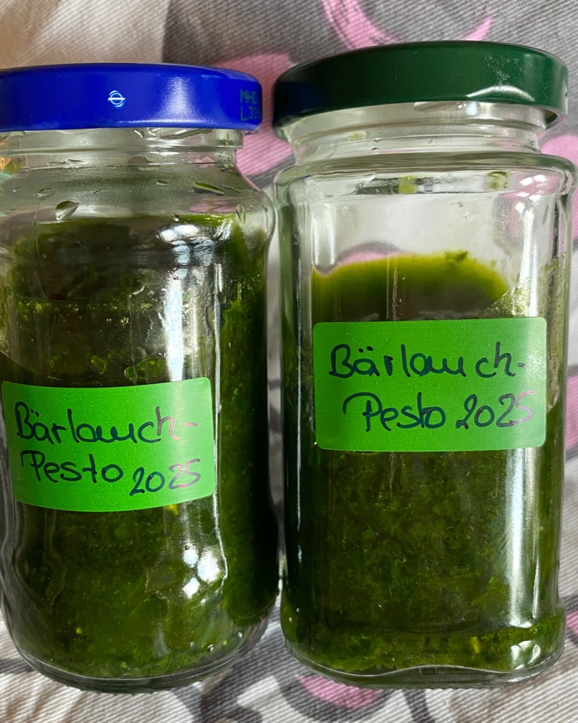 Bärlauch-Pesto
