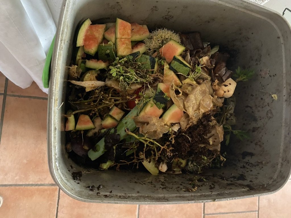 Mit Bokashi den Boden im Garten&nbsp;verbessern