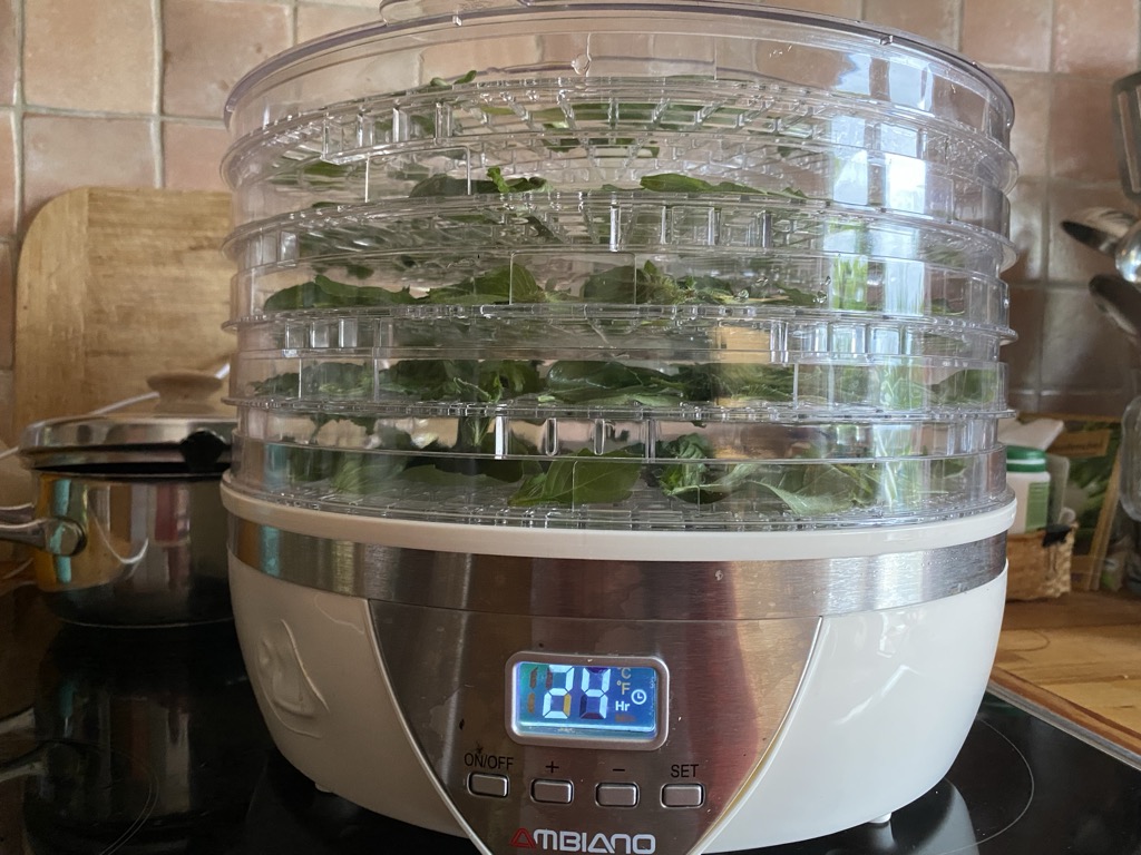 Tulsi-Basilikum im Dörrautomat